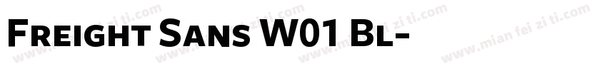 Freight Sans W01 Bl字体转换